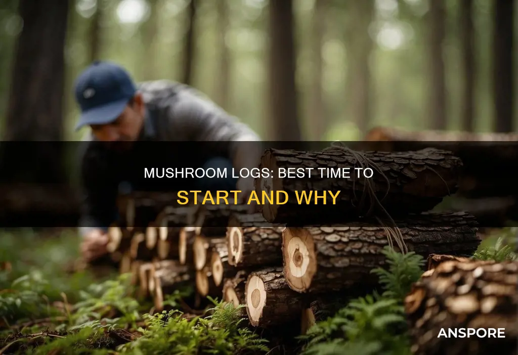 when to start mushroom logs