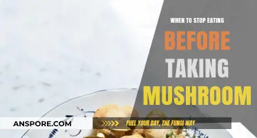 Optimal Timing: When to Stop Eating Before Taking Mushrooms
