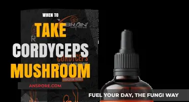 Best Time to Take Cordyceps Mushrooms