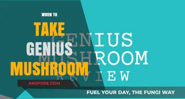 The Best Time to Take Genius Mushrooms
