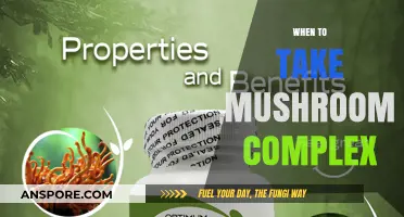 Mushroom Complex: Best Time to Take Supplements