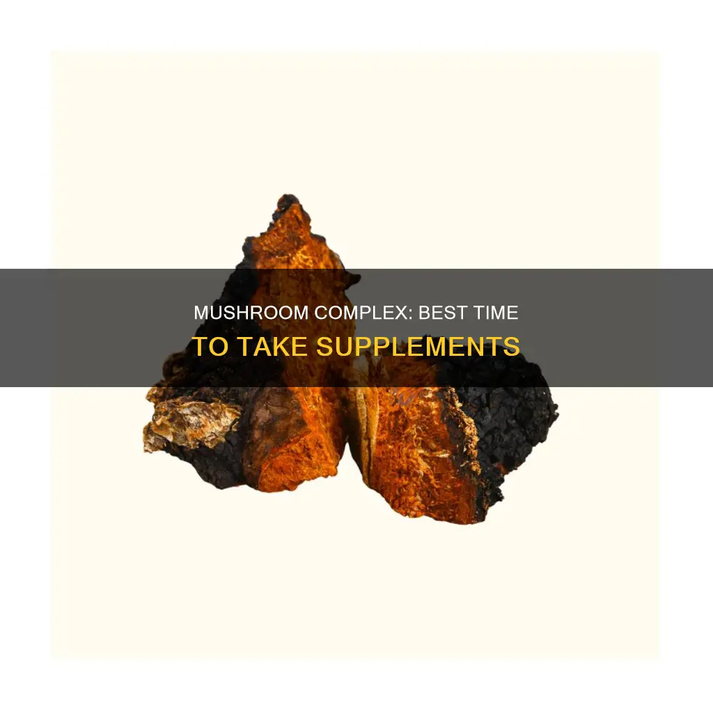 when to take mushroom complex
