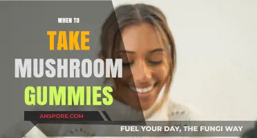 Best Time to Take Mushroom Gummies