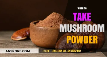 Morning or Night: Best Time for Mushroom Powder