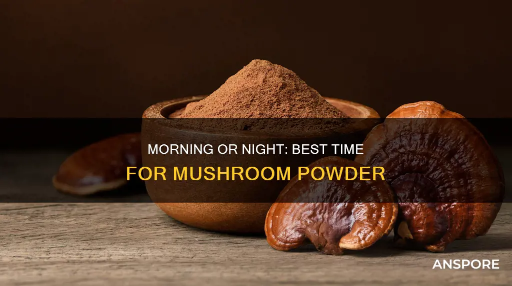 when to take mushroom powder