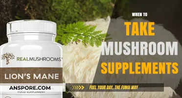 Mushroom Supplements: Best Time to Take Them