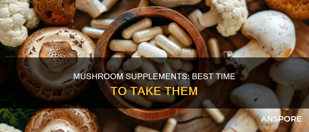 when to take mushroom supplements