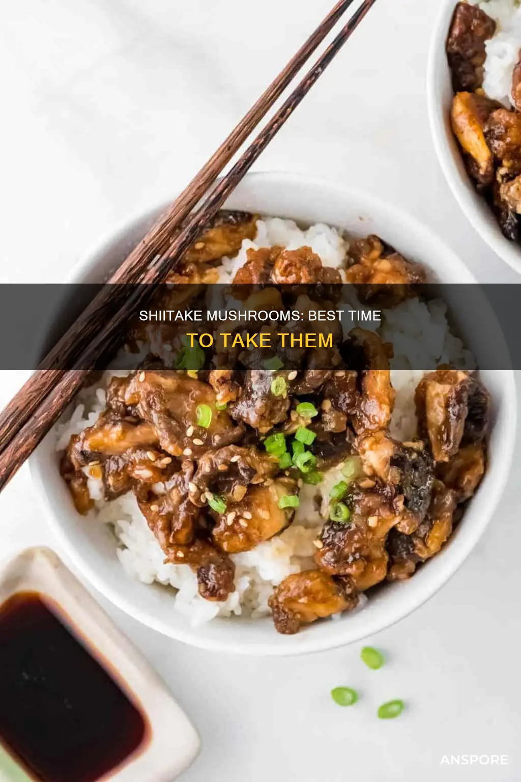 when to take shiitake mushroom