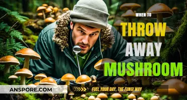 How to Know When Your Mushrooms Have Gone Bad