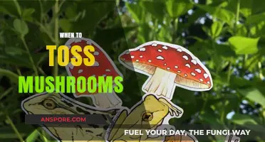 Mushroom Toss: When to Know It's Time