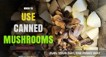 When to Use Canned Mushrooms: A Convenient Kitchen Staple