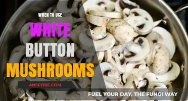 Perfect Timing: When to Use White Button Mushrooms in Your Cooking