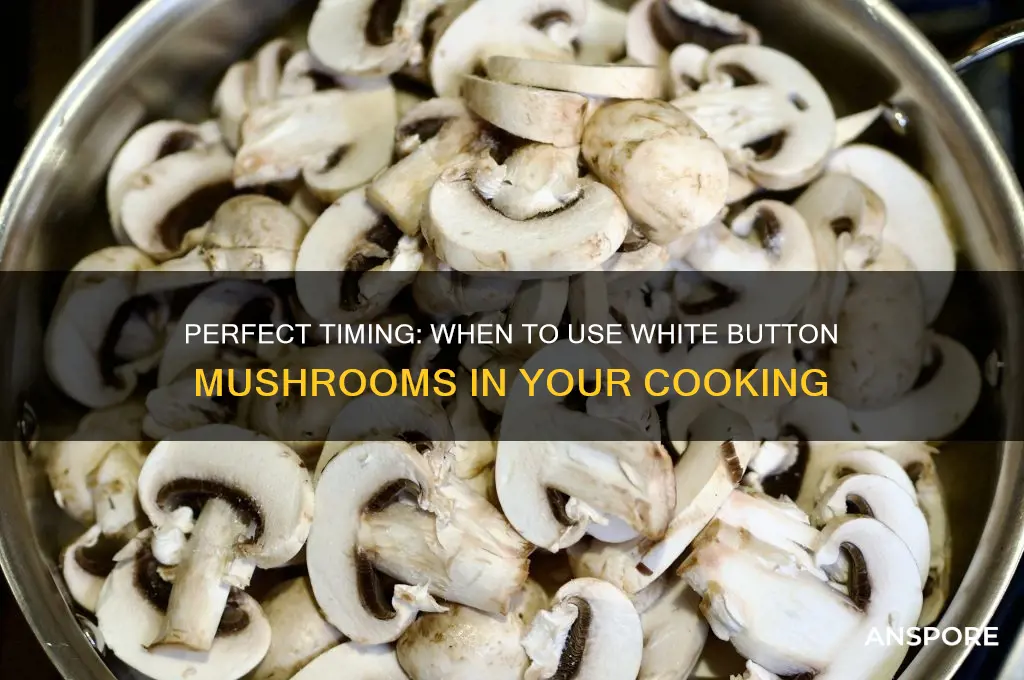 when to use white button mushrooms