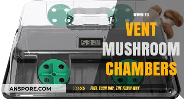 Venting Mushroom Chambers: The Optimal Timing