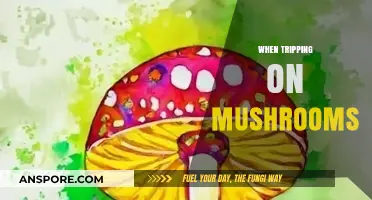 Psychedelic Adventures: Exploring the Mushroom-Induced Mind