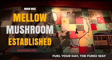 History of Mellow Mushroom: When It All Began