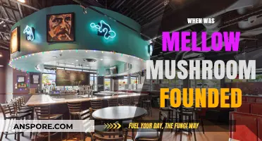 History of Mellow Mushroom: When It All Began