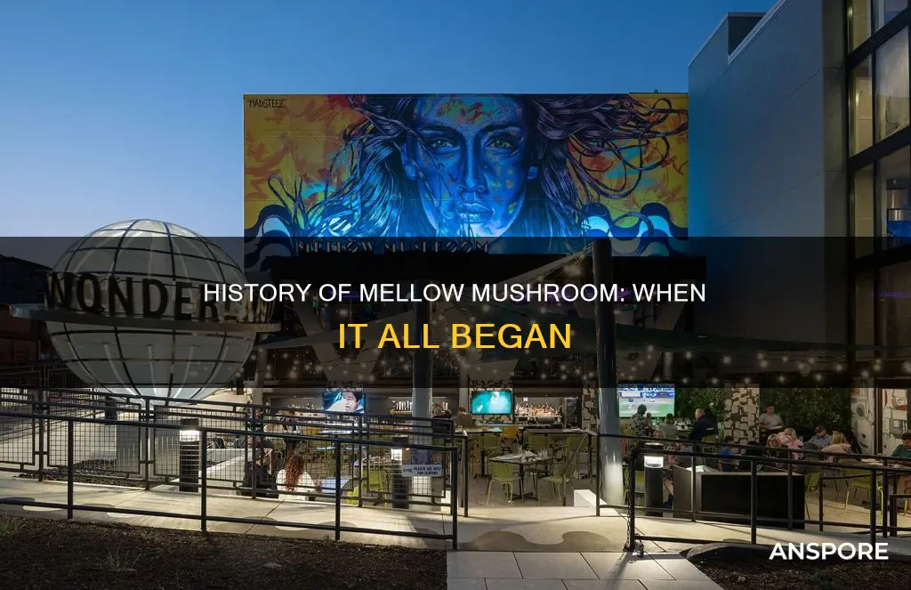 when was mellow mushroom founded