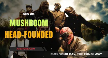 The Founding of Mushroom Head: A Historical Perspective