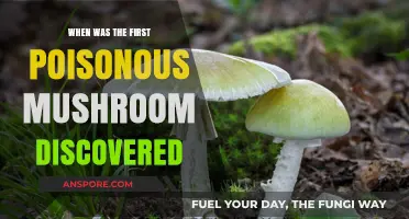 Unveiling the First Poisonous Mushroom Discovery in History