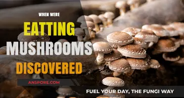 Unveiling the Ancient Discovery of Edible Mushrooms: A Culinary Journey