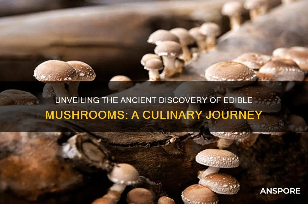 when were eatting mushrooms discovered
