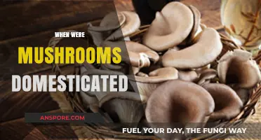 Mushroom Domestication: A Historical Perspective
