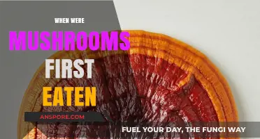 Unveiling the Ancient Culinary Journey: When Mushrooms First Became Food