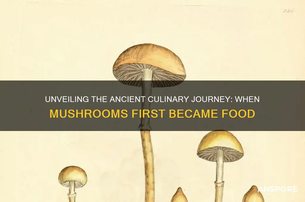 when were mushrooms first eaten