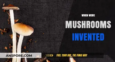 The Evolution of Mushrooms: When Did They First Appear?