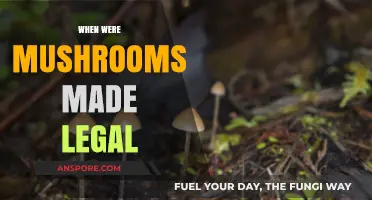 When Did Mushrooms Become Legal? A Historical Overview of Decriminalization