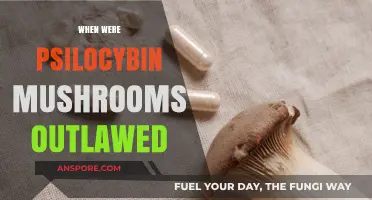 The Outlawing of Magic Mushrooms: A Historical Perspective