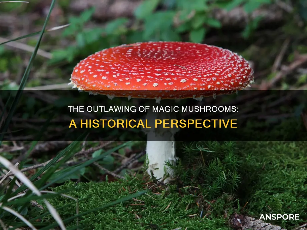 when were psilocybin mushrooms outlawed