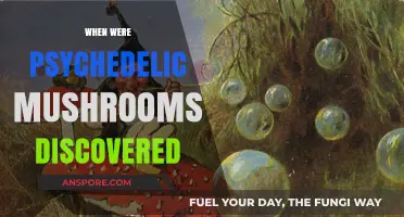 The Discovery of Psychedelic Mushrooms: A Historical Perspective
