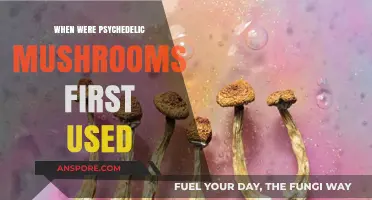 Unveiling the Ancient Origins of Psychedelic Mushroom Use