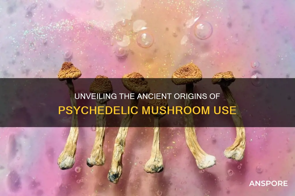 when were psychedelic mushrooms first used