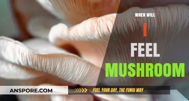 How Long Until You Feel the Effects of Magic Mushrooms?