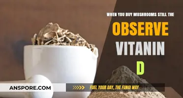 Mushroom Purchases: Unveiling Vitamin D Benefits and Observations