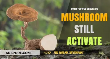Do Mushrooms Still Activate When Using Oracle? A Detailed Analysis