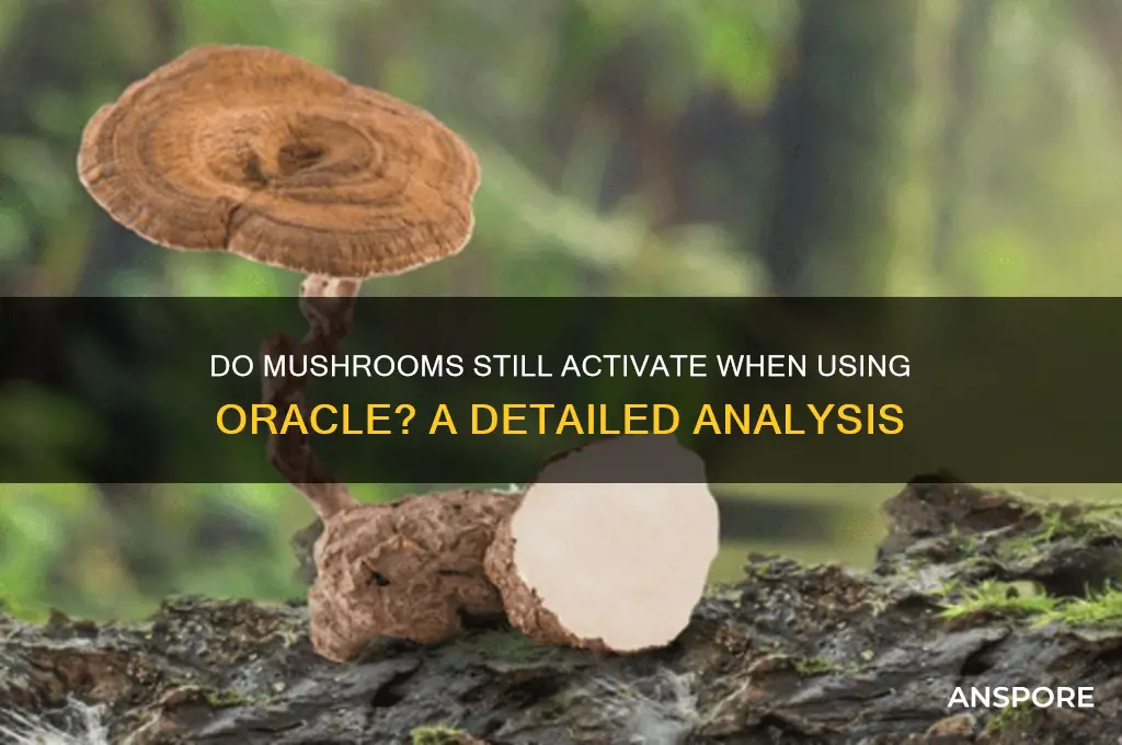 when you use oracle do mushrooms still activate