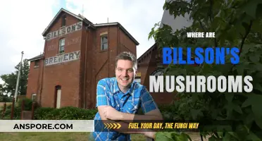Billson's Mushrooms: Where Are They Hiding?