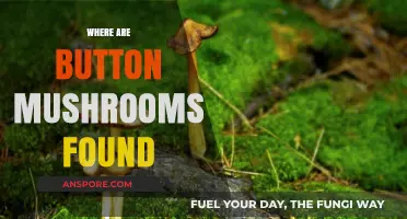 Button Mushrooms: Where Do They Grow?