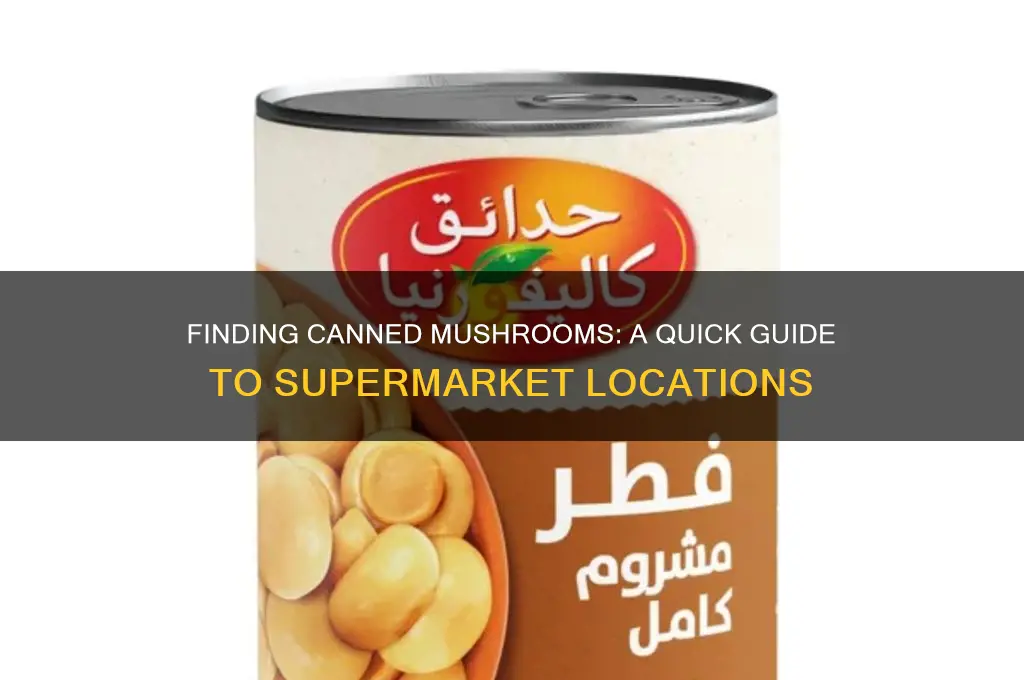 where are canned mushrooms in a supermarket