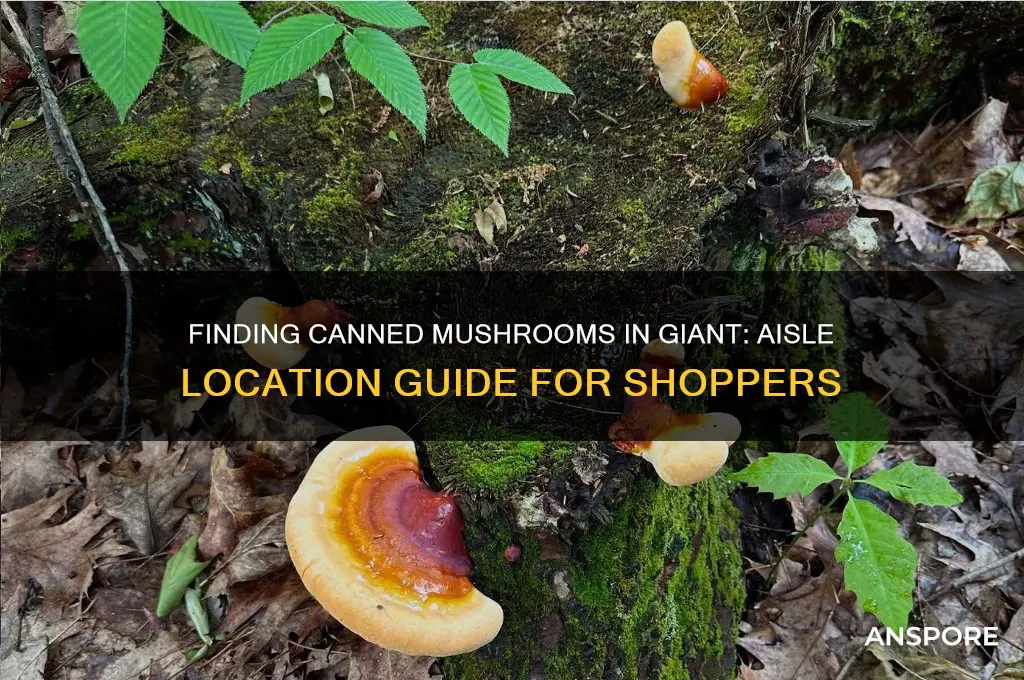 where are canned mushrooms in giant
