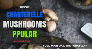 Chanterelle Mushrooms: Where Are They Popular?