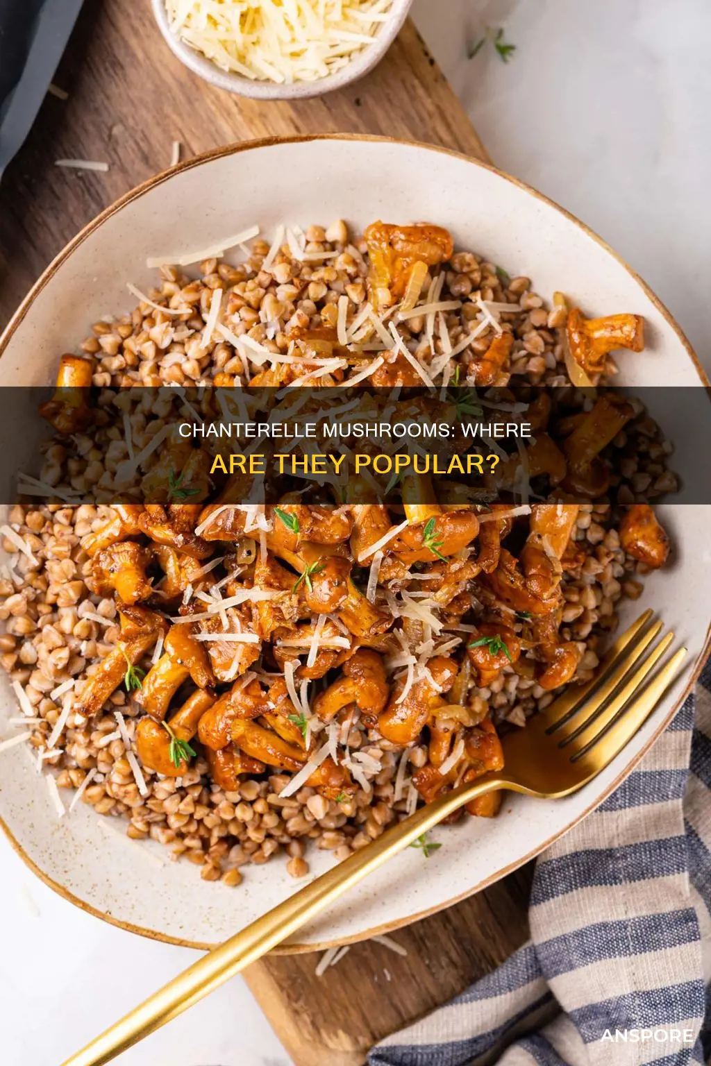 where are chanterelle mushrooms ppular