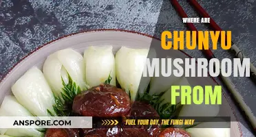 The Origins of Chunyu Mushrooms: A Historical Perspective