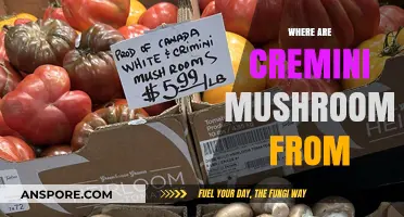 Cremini Mushrooms: Their Place of Origin