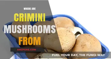 The Origin Story of Crimini Mushrooms