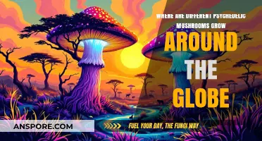 Global Psychedelic Mushroom Habitats: Exploring Their Worldwide Growth Locations
